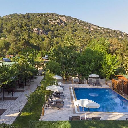 Koala Bungalows โอลิมปอส ภายนอก รูปภาพ
