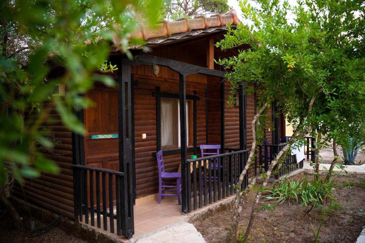 Koala Bungalows โอลิมปอส ภายนอก รูปภาพ