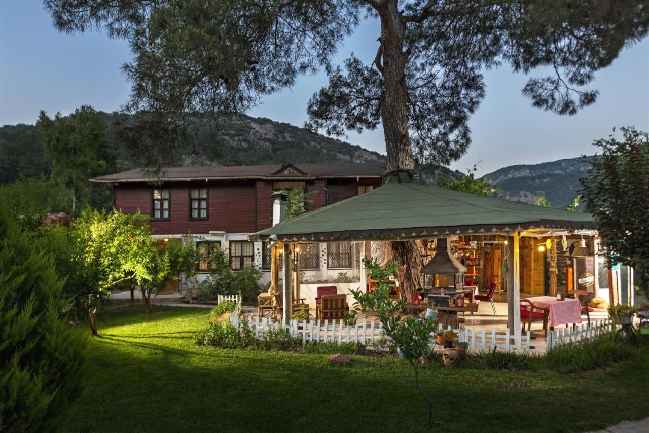 Koala Bungalows โอลิมปอส ภายนอก รูปภาพ