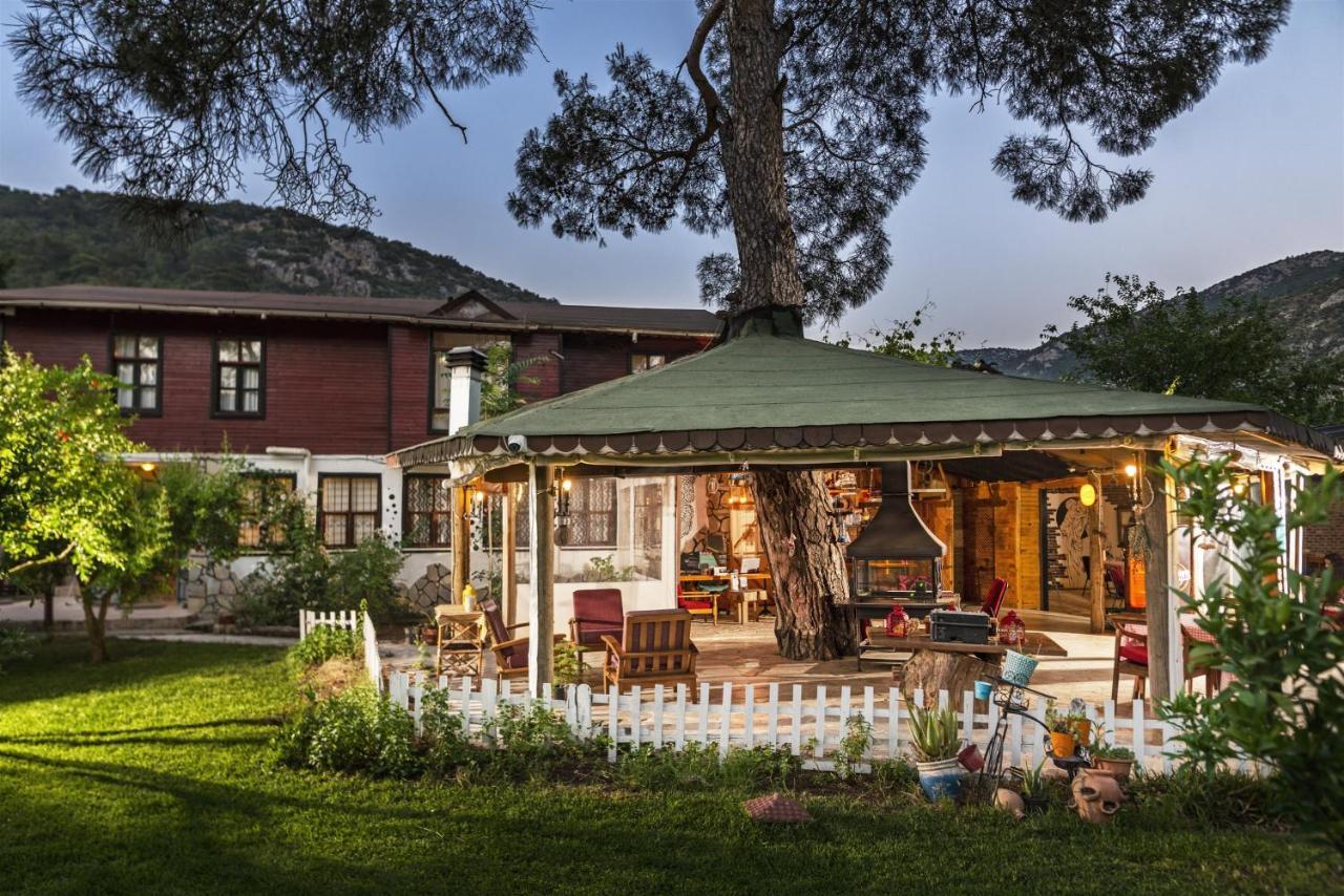 Koala Bungalows โอลิมปอส ภายนอก รูปภาพ