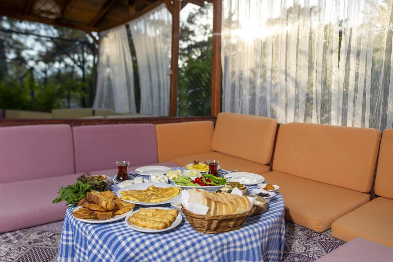 Koala Bungalows โอลิมปอส ภายนอก รูปภาพ