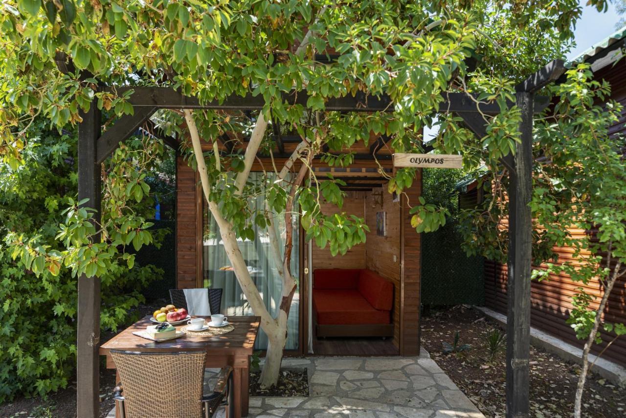 Koala Bungalows โอลิมปอส ภายนอก รูปภาพ