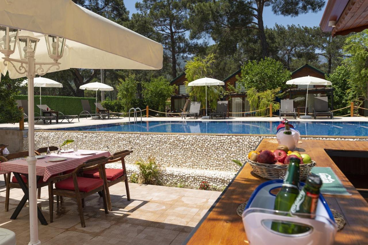 Koala Bungalows โอลิมปอส ภายนอก รูปภาพ