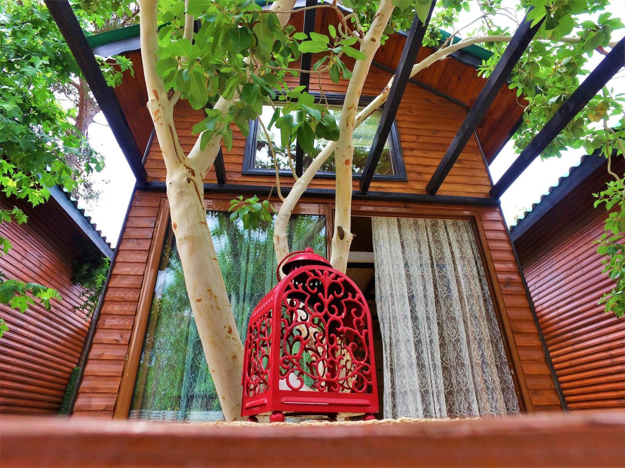 Koala Bungalows โอลิมปอส ภายนอก รูปภาพ